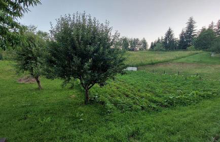 Kuća za odmor ,Erdelj 21 B - Foto 52