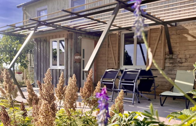 L'intemporel - Foto 48