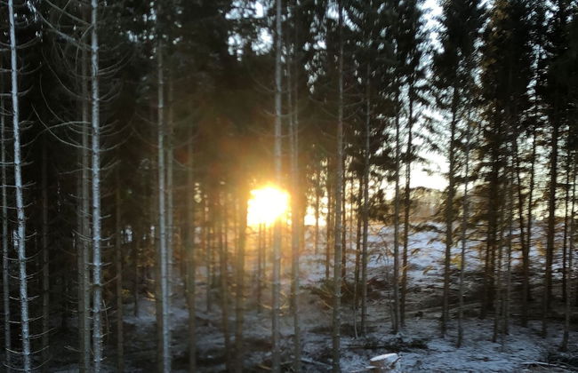 Holiday Home Near Harzgerode With Whirlpool - Foto 25