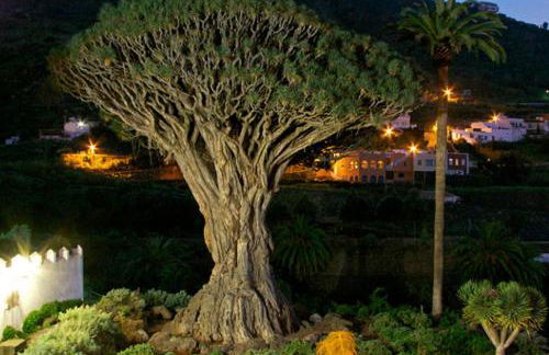 THE TEIDES WINDOW swimming pool LA VENTANA DEL TEIDE - Foto 72