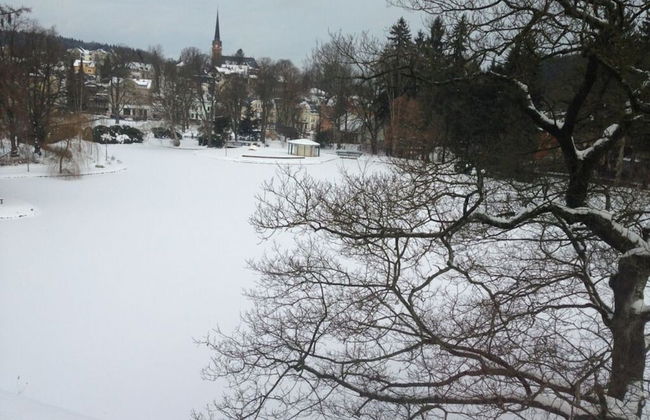 Holiday Apartment at the Gondola Pond - Foto 16