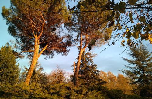 Cascina dei Cisi - Foto 49