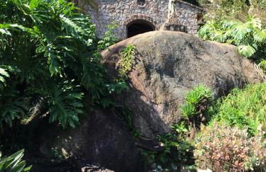 Pousada Recanto Primavera - Photo 73