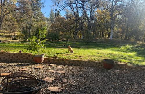 Gold Country Serenity! 45 Minutes to Powder! - Foto 8