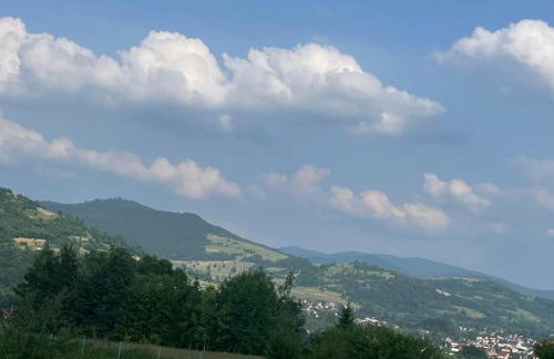 Lawendowy apartament - Photo 8