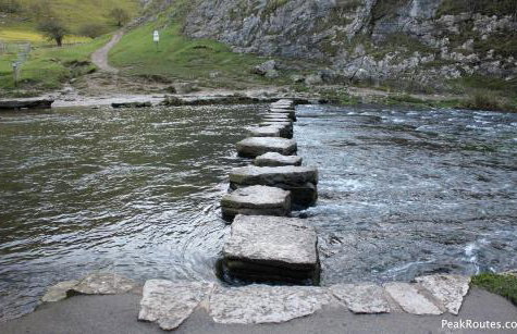 The Willow (Alton Towers, Animals, Peak District) - Foto 49