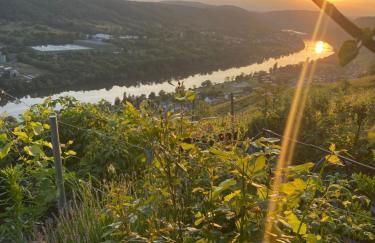 Apartment an der Mosel 2 - Foto 39