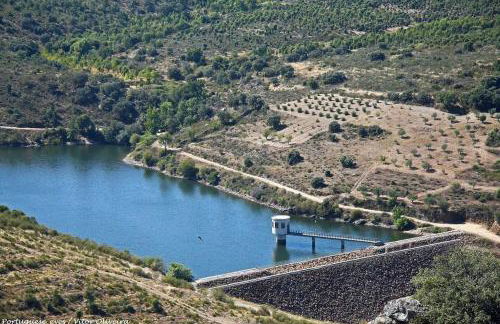 Anjú-Pardal - Foto 63