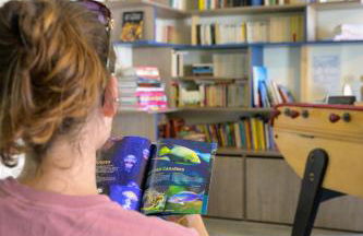 Le Petit Bois - Foto 38