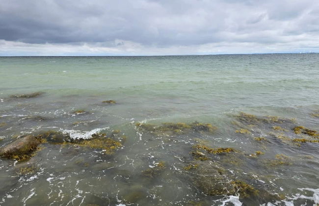 6 Person Holiday Home in Gorlev - Photo 26