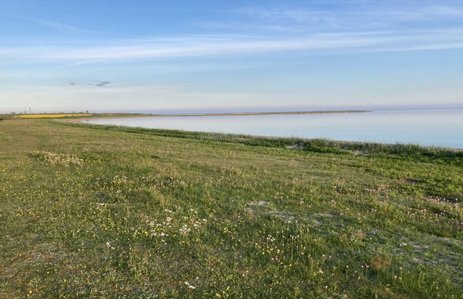 "Mayla" - 50m from the sea - Foto 4