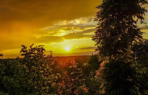 Holiday home in Süttorf with swimming pool - Foto 13