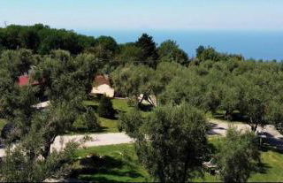 Green Park Hotel & Residence - Foto 35