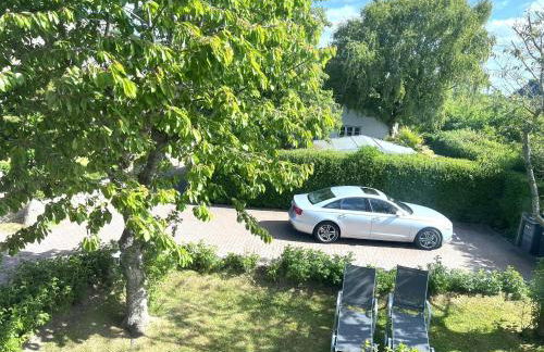 Roter Apfel - Foto 21