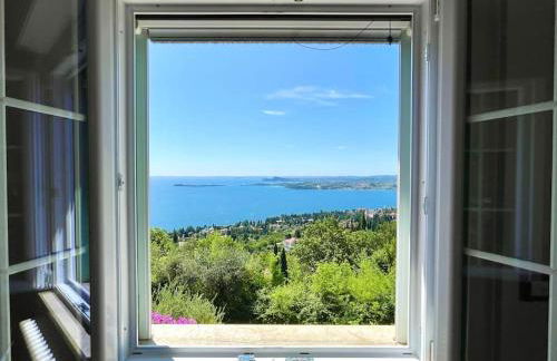 D1MORA Panoramica - Foto 11