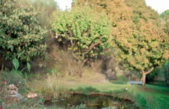 Villa Gatta Bianca - Foto 41