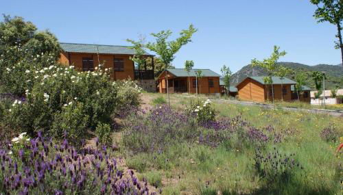 Lincetur Cabañeros - Centro de Turismo Rural - Foto 3