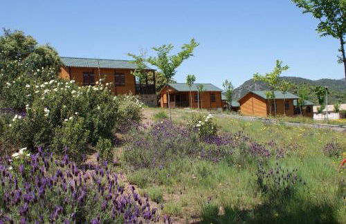 Lincetur Cabañeros - Centro de Turismo Rural - Foto 3