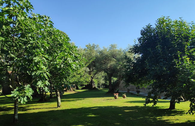 Casas da Quinta da Cancela - Foto 41