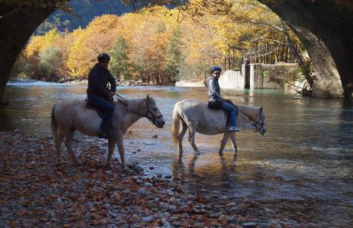 Villa Rustica - Photo 54