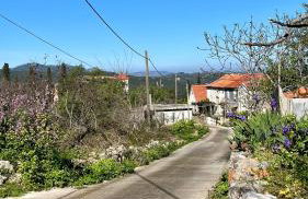 Olivier house - Foto 47