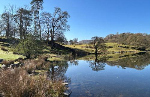 Puddleduck - Foto 28