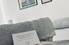 Studio refait à neuf avec jardin Aigues Mortes - Foto 8