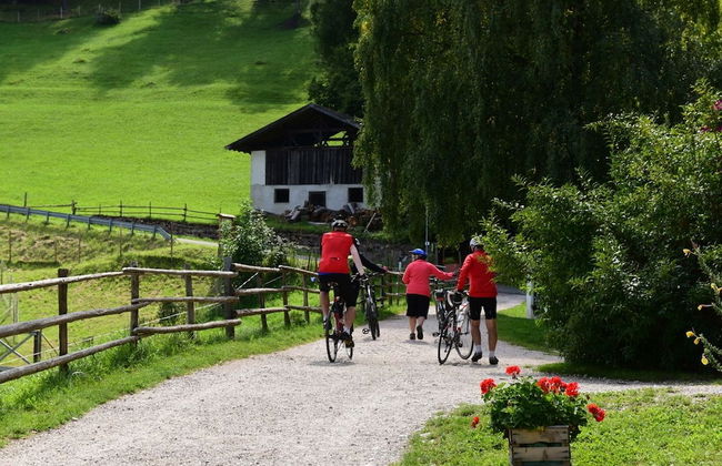 Apparthotel Gartenresidence Nalserhof - Photo 60