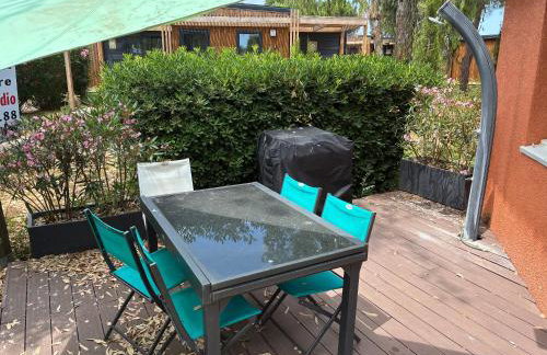 Chalet La Dragonniere - Photo 14