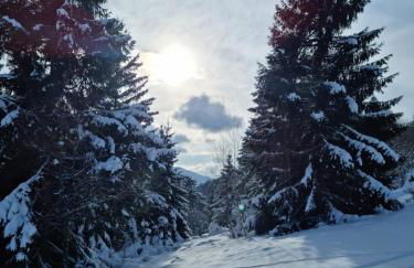 Les Randogodilleurs avec Jacuzzi à 2kms des pistes et 350m du Théatre du Peuple ! - Foto 16