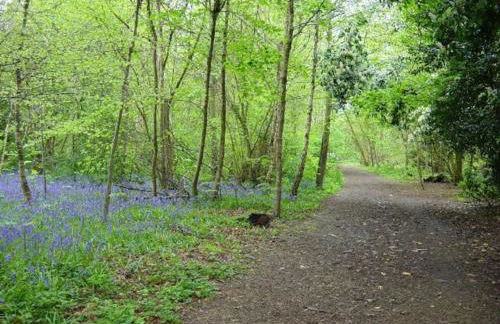 Railway Carriage accommodation with tennis court! - Foto 23