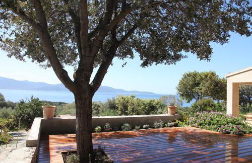 Ogliastrello - Foto 8