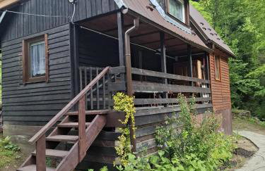 Duży drewniany domek nad rzeką, Obidza 381, Łącko - Foto 1