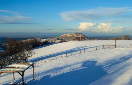 Fattoria Bio L'A Ceccoli - Foto 24