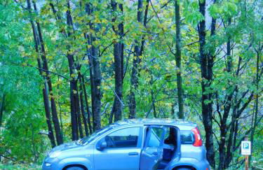 Graziosa Casetta Con Camino In Pietra e Giardino - Foto 21