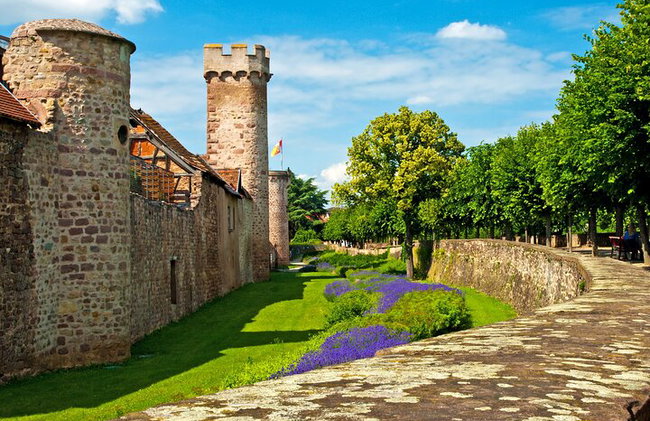 Visita guiada en grupo pequeño a los pueblos locales de Alsacia desde Estrasburgo - Foto 11