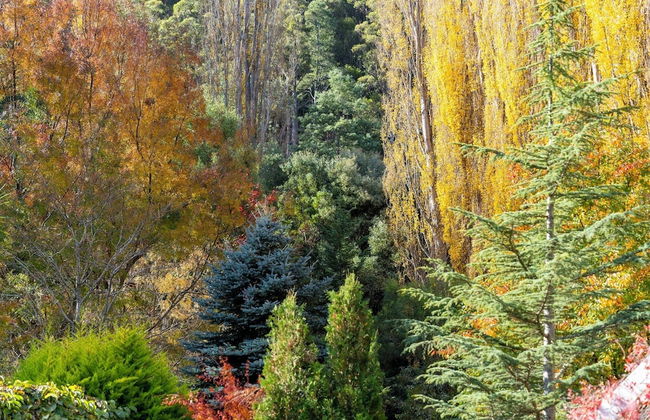 Magical Lucindale - 4 Bedroom House - Foto 60