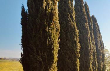 Podere Cartaio Bio Farm, private pool, AirC - Foto 43