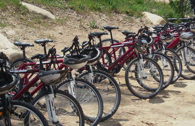 Tour en bicicleta por el Parque Natural Sintra-Cascais - Foto 8