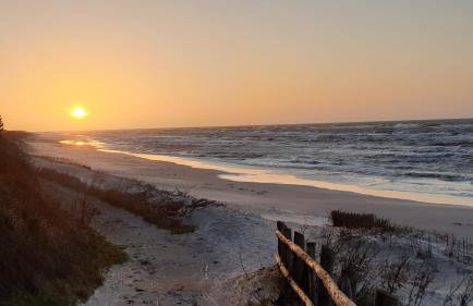 Zakątek Wenantego - Foto 12