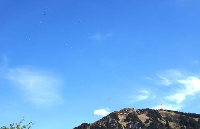 Holiday Apartment Allgauer Alpenblick - Foto 18