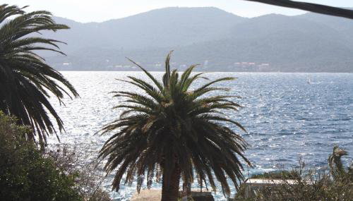 Apartman Anka - Foto 3