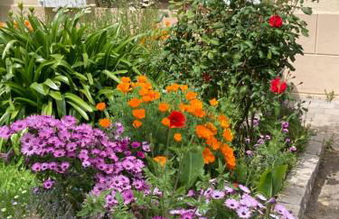 residence fleurie rdc - Foto 52