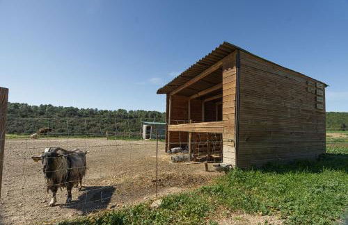 Mas El Brugué - Foto 26