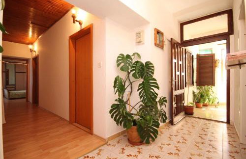 Apartments with a parking space Ugljan - 8416 - Foto 25