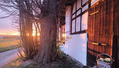 Smocza Chata - Photo 5