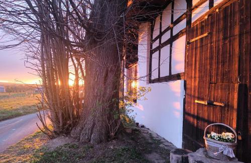 Smocza Chata - Foto 5