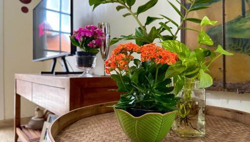 Paraíso na praia 800 mts do mar - Foto 5