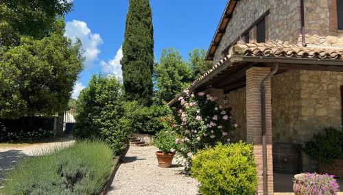 Casa di Dario - Foto 3, Garden, Garden view