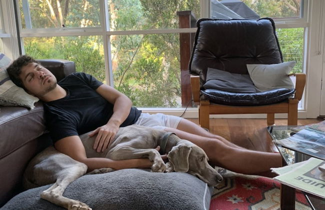 Whispering Gums Lorne Ocean Views Pet Friendly EV Charger - Photo 33